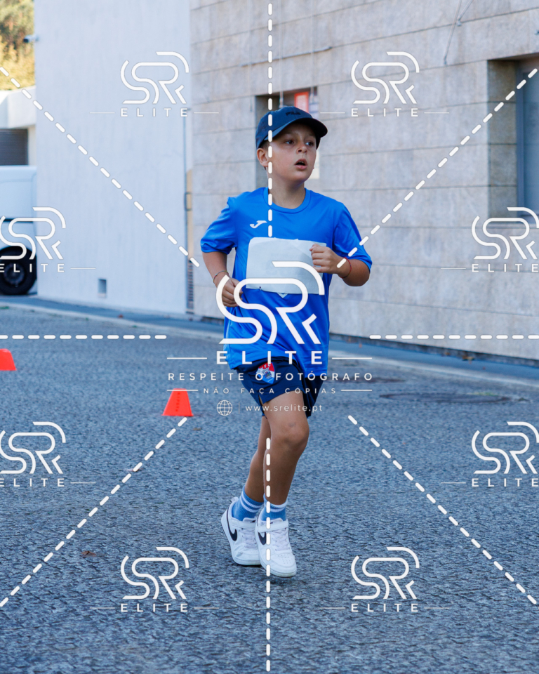 Preview com marca de água da fotografia galos-856