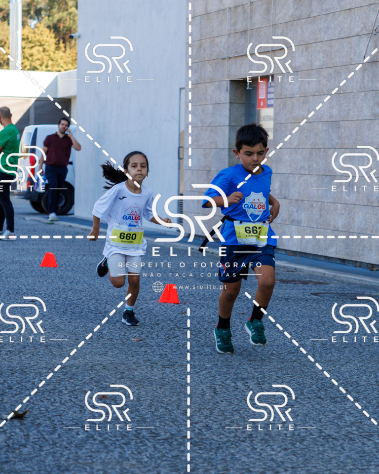 Preview com marca de água da fotografia galos-857
