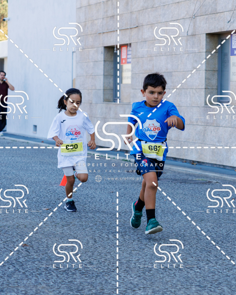 Preview com marca de água da fotografia galos-858