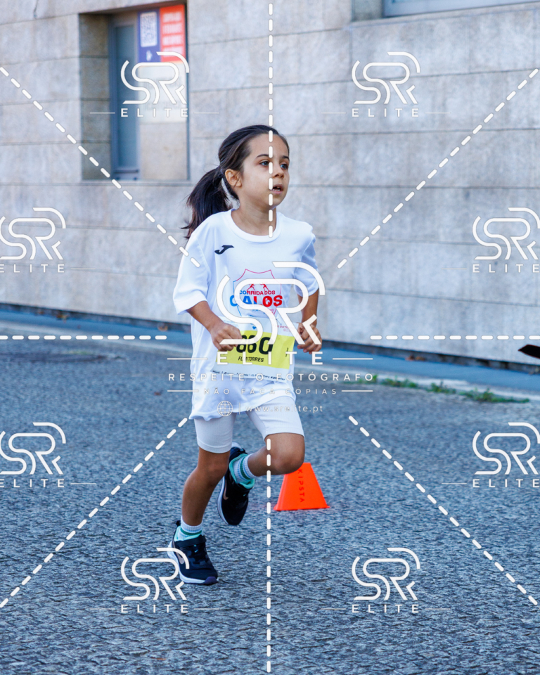 Preview com marca de água da fotografia galos-859