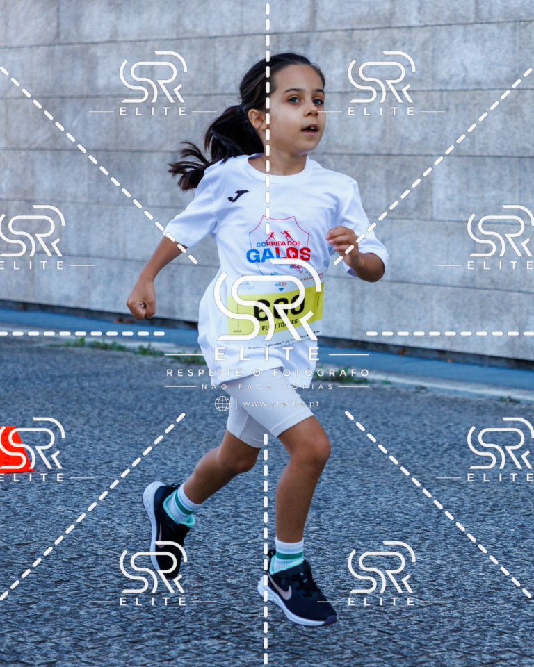Preview com marca de água da fotografia galos-860