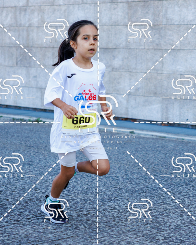 Preview com marca de água da fotografia galos-861