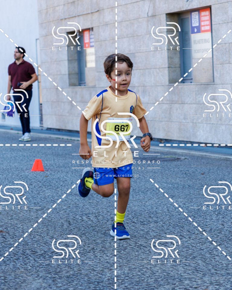 Preview com marca de água da fotografia galos-862