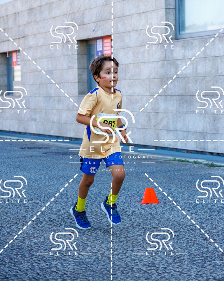 Preview com marca de água da fotografia galos-863