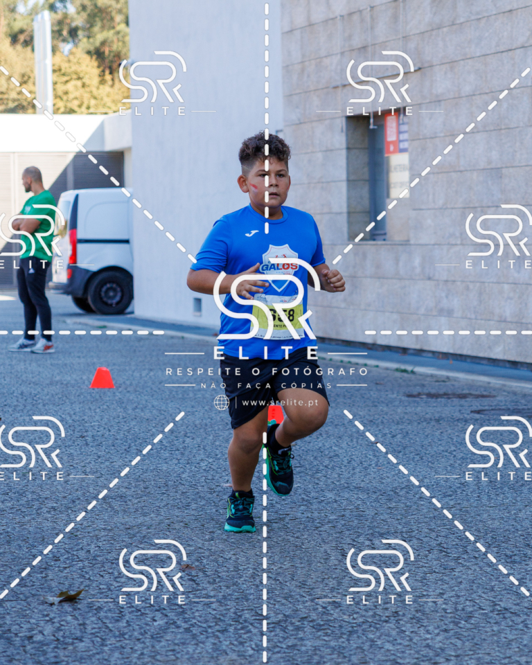 Preview com marca de água da fotografia galos-865