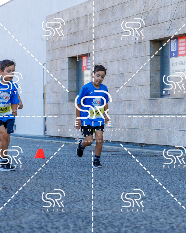 Preview com marca de água da fotografia galos-866