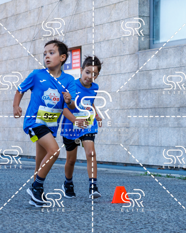 Preview com marca de água da fotografia galos-867
