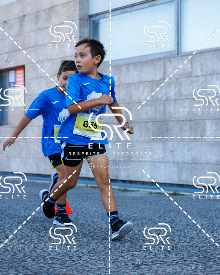 Preview com marca de água da fotografia galos-868