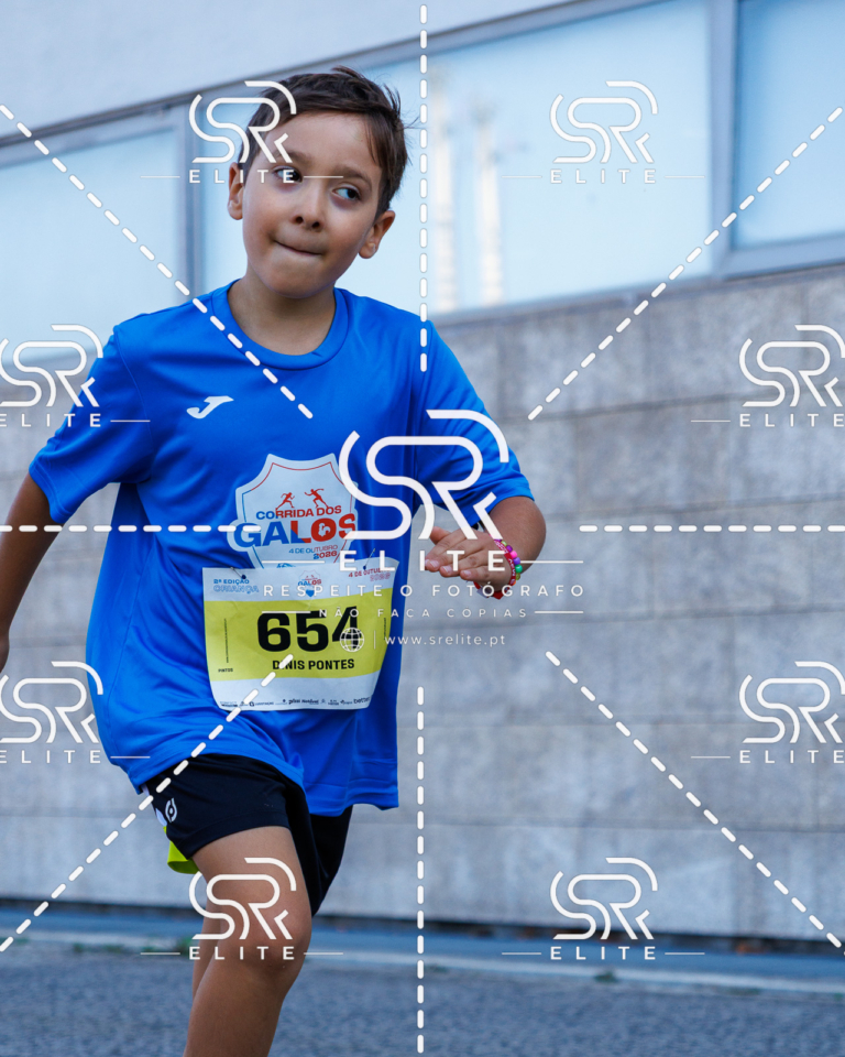 Preview com marca de água da fotografia galos-870