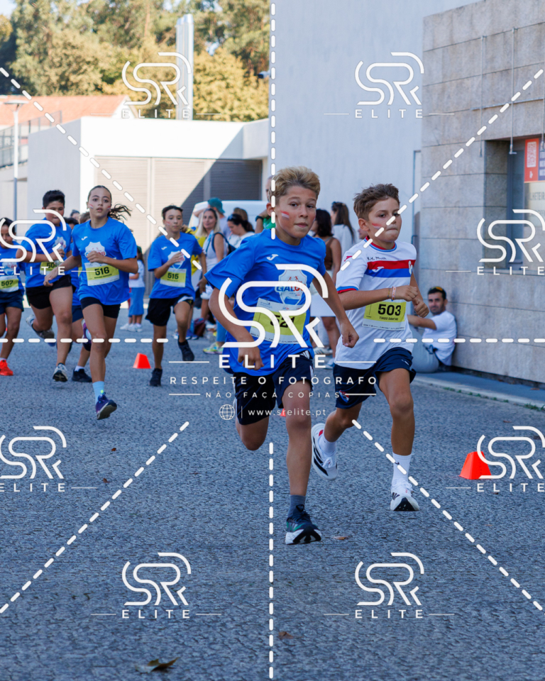 Preview com marca de água da fotografia galos-876
