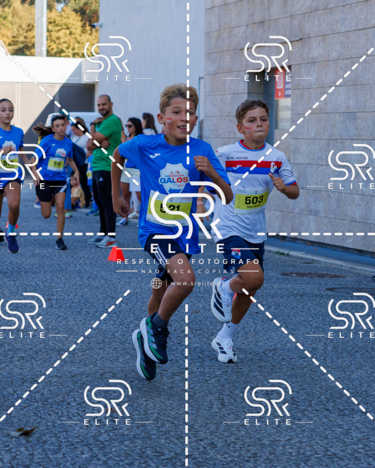 Preview com marca de água da fotografia galos-877
