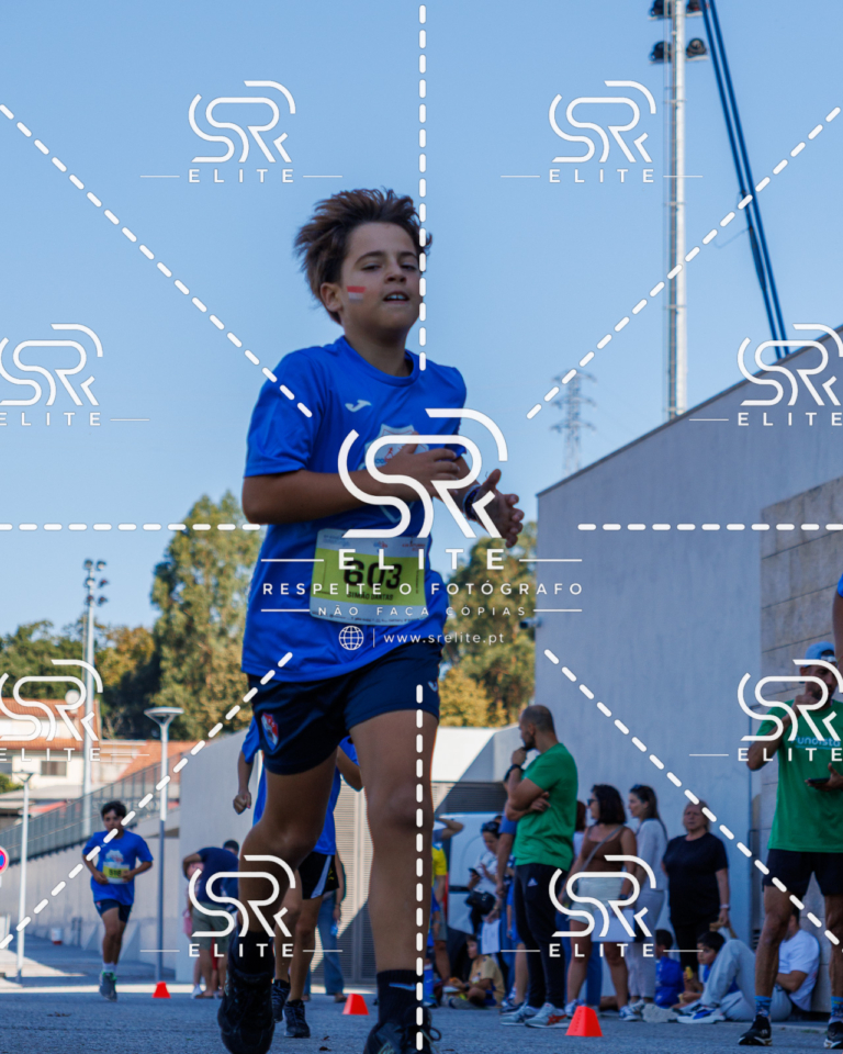 Preview com marca de água da fotografia galos-880