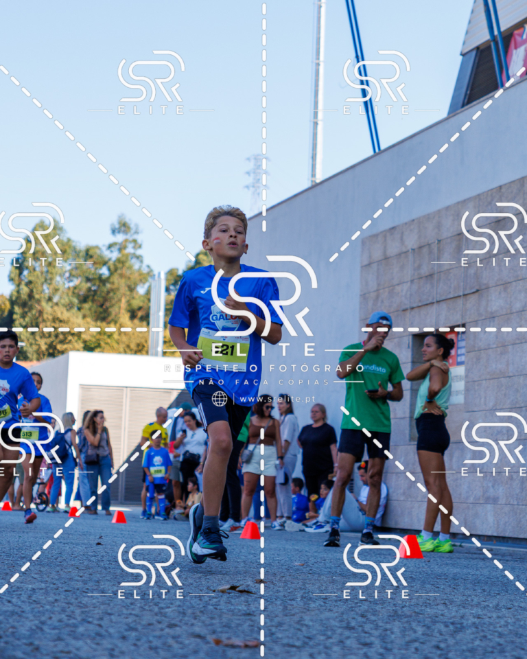 Preview com marca de água da fotografia galos-882
