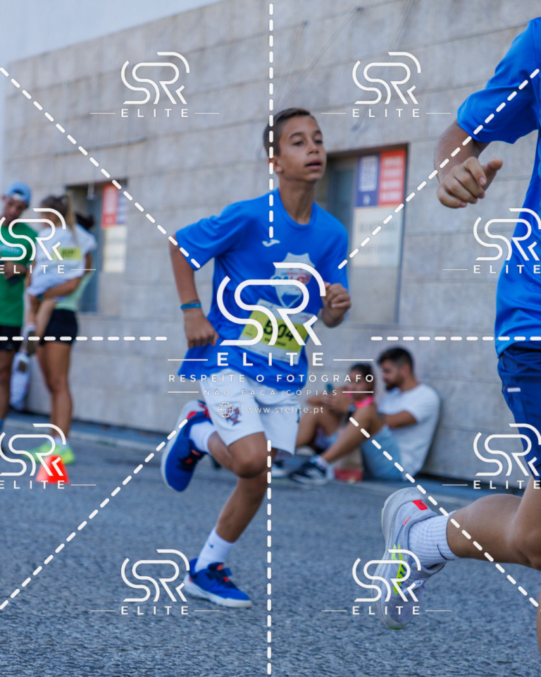 Preview com marca de água da fotografia galos-883