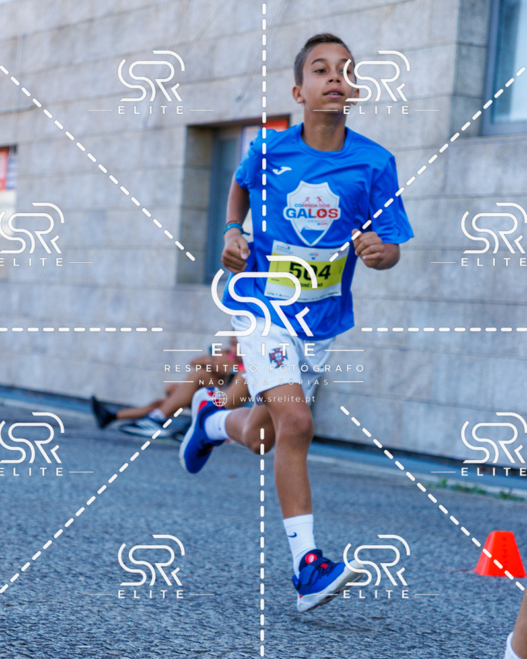 Preview com marca de água da fotografia galos-884