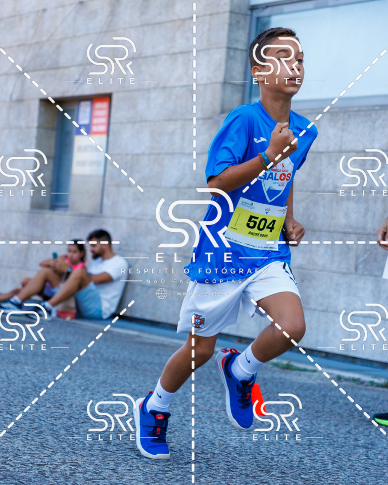 Preview com marca de água da fotografia galos-885