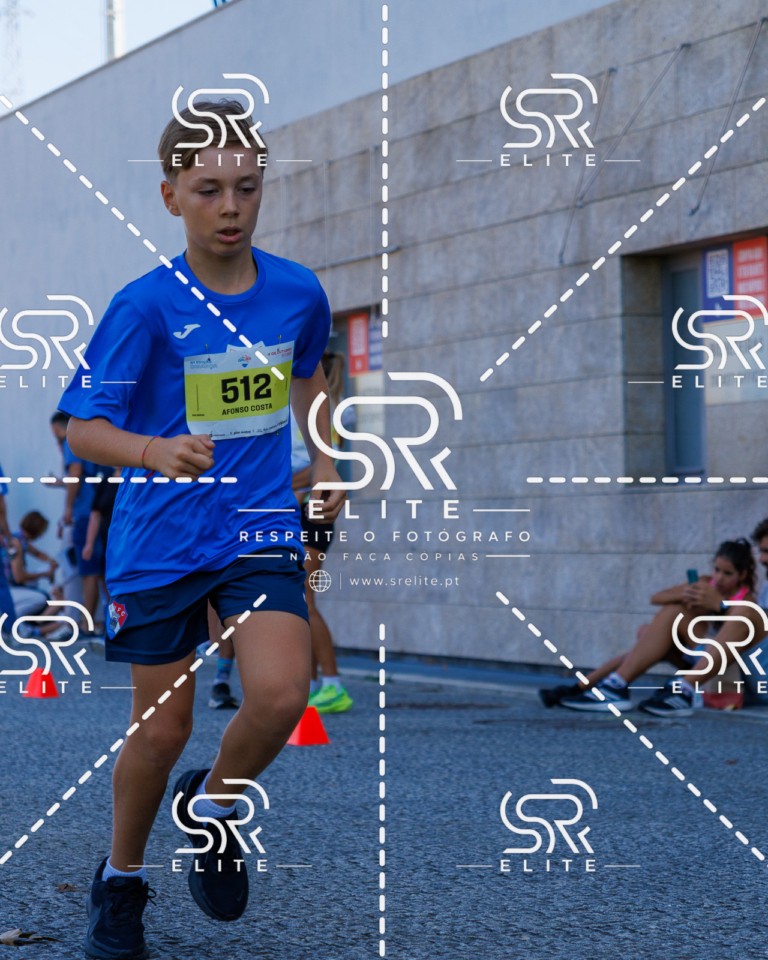 Preview com marca de água da fotografia galos-887