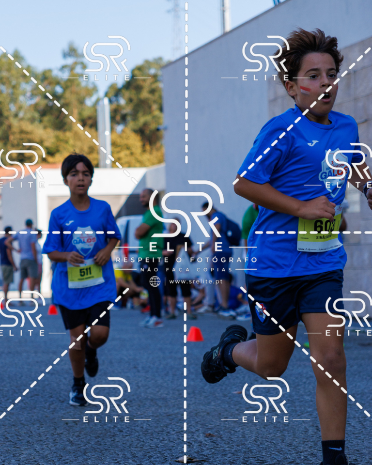 Preview com marca de água da fotografia galos-889