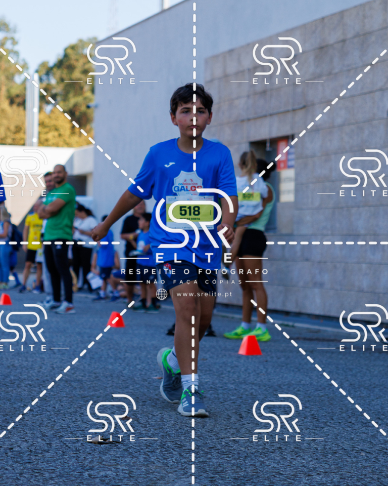 Preview com marca de água da fotografia galos-891