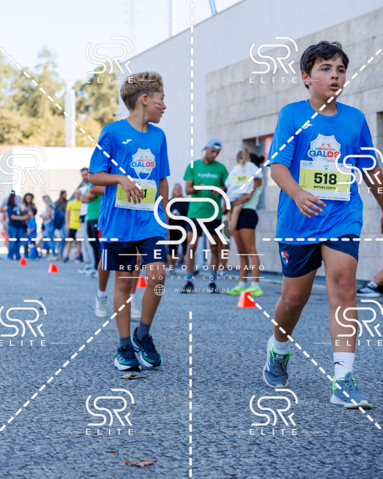 Preview com marca de água da fotografia galos-892