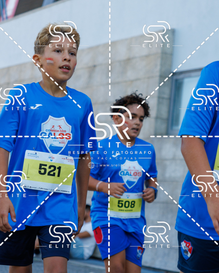 Preview com marca de água da fotografia galos-894