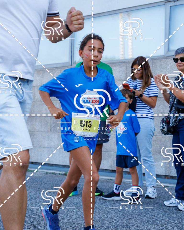 Preview com marca de água da fotografia galos-896