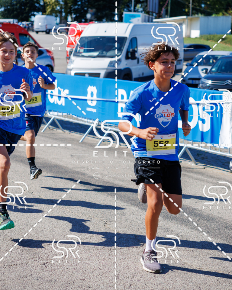 Preview com marca de água da fotografia galos-898