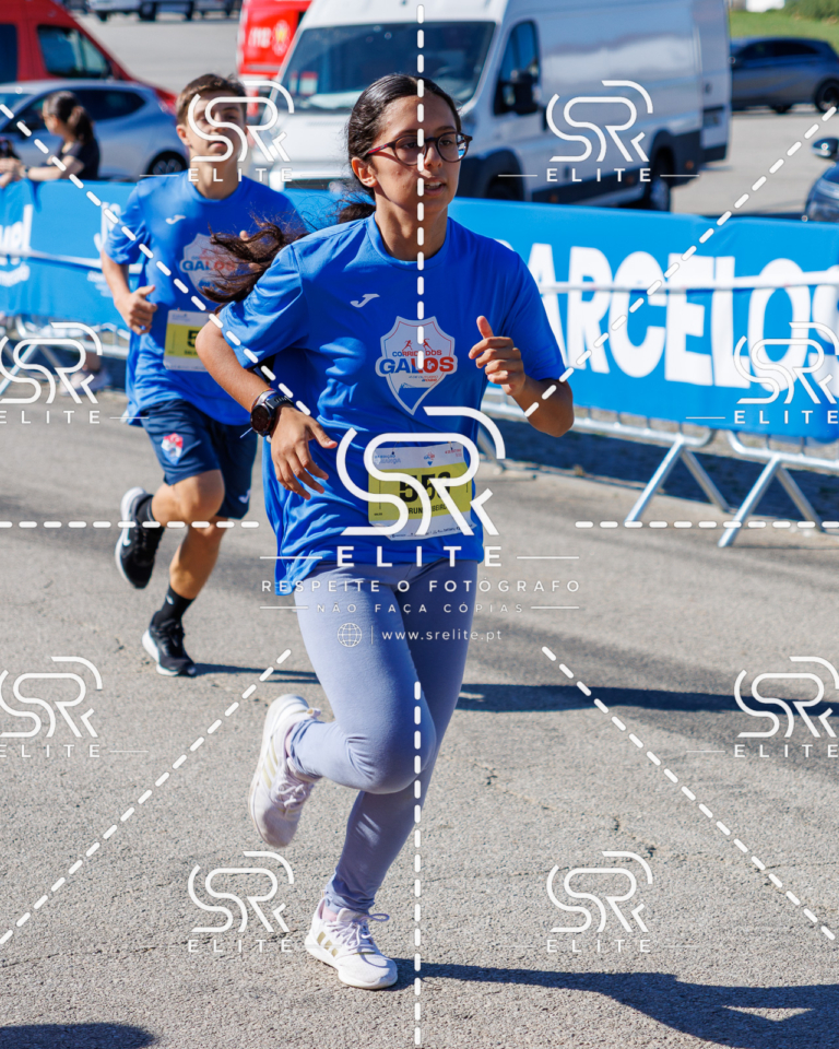 Preview com marca de água da fotografia galos-900