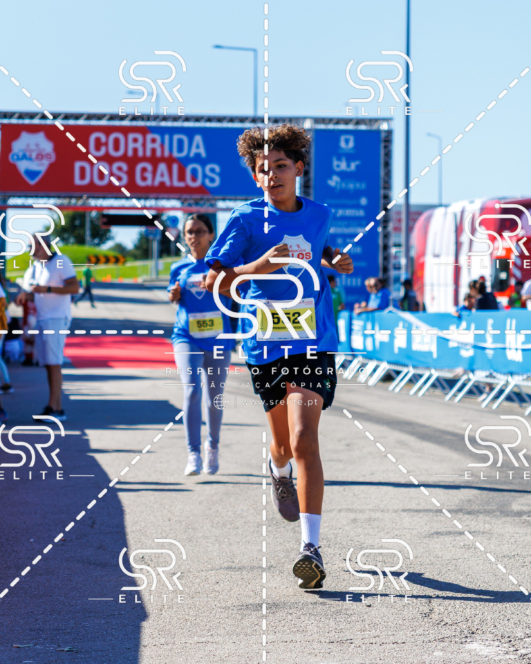 Preview com marca de água da fotografia galos-902
