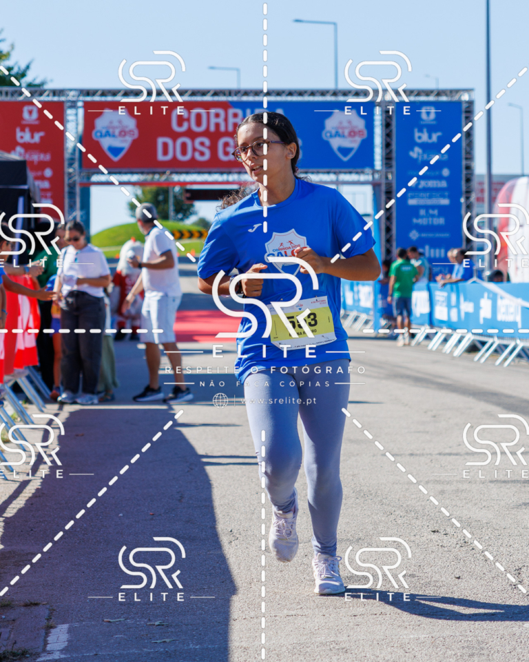 Preview com marca de água da fotografia galos-903