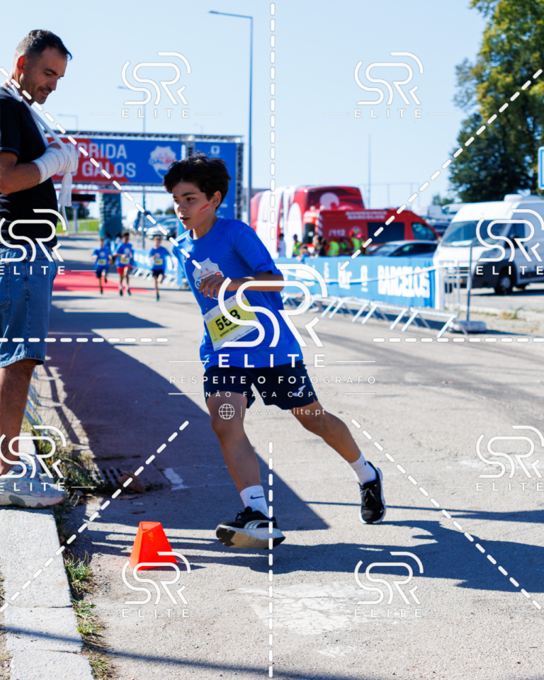 Preview com marca de água da fotografia galos-905