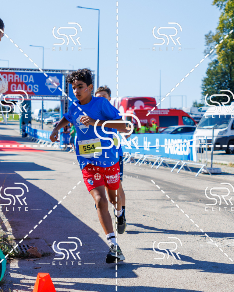 Preview com marca de água da fotografia galos-907