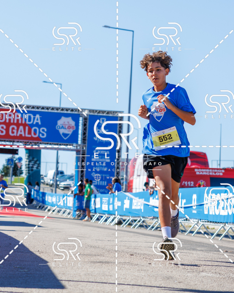 Preview com marca de água da fotografia galos-908