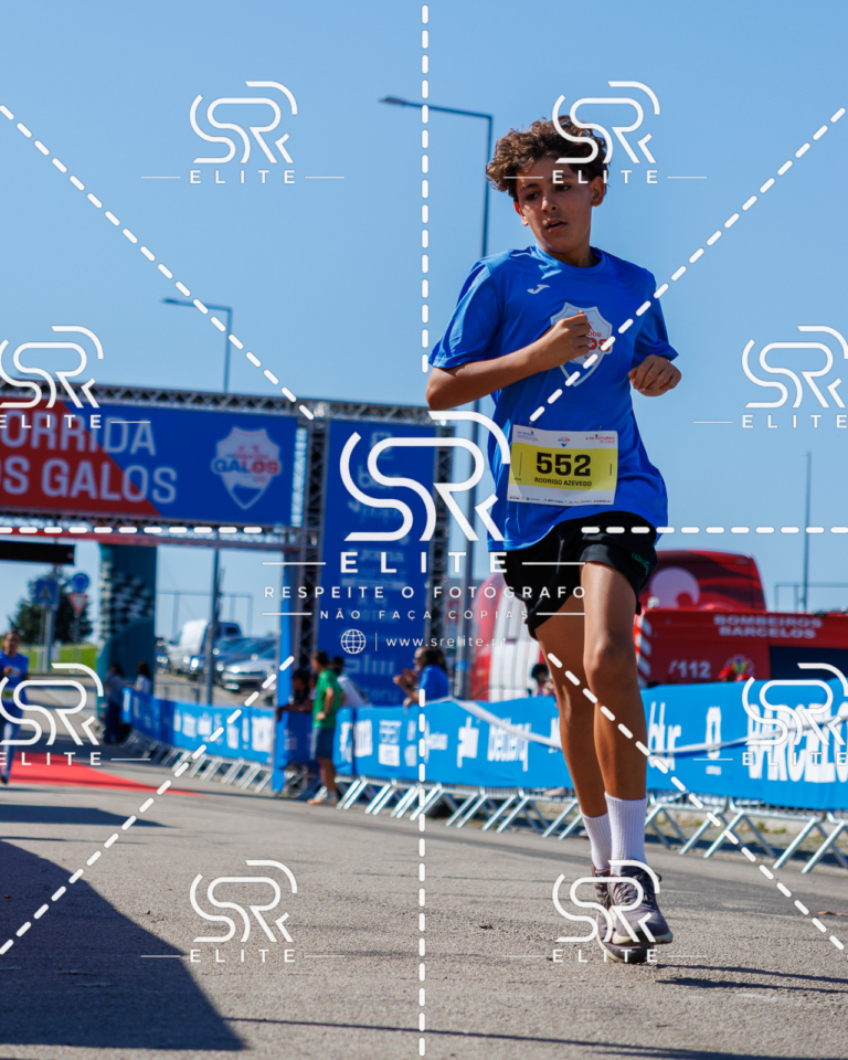 Preview com marca de água da fotografia galos-909