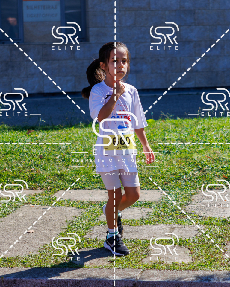 Preview com marca de água da fotografia galos-917